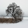 Jezioro Charzykowskie zimą fot. Zbigniew Prochowski