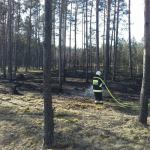 Sobotni pożar poszycia lasu w Małych Chełmach. Fot. PSP Chojnice, twitter.com/KP_PSP_Chojnice