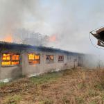 Pożar fermy świń w miejscowości Suchorze. fot. OSP Trzebielino