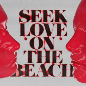 SEEK LOVE (ON THE BEACH) FEAT. AMANDA WILSON & YORK - (ALOK & TAZI & SAMUELE SARTINI)