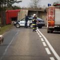 Marzec 2012 - Powat człuchowski, wypadek cieżarówki przewożącej świnie fot. Daniel Frymark