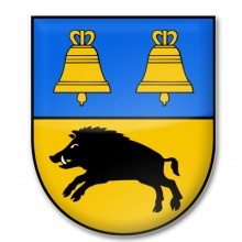 Rada gminy Borzytuchom