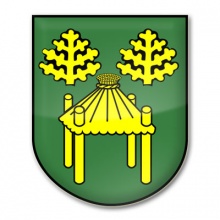 Rada gminy Cekcyn