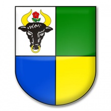 Rada gminy Chojnice