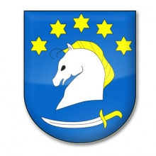 Rada gminy Dziemiany