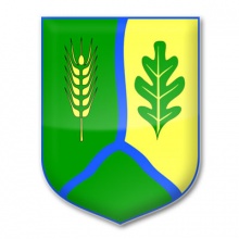 Rada gminy Gostycyn
