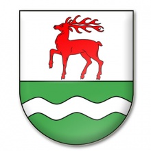 Rada gminy Kołczygłowy