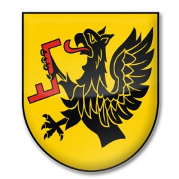Rada gminy Studzienice