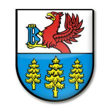 Rada miejska w Brusach