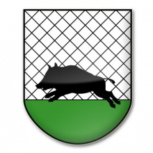 Rada miejska w Debrznie