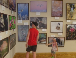 Fotografie dzikiej przyrody w kościerskim muzeum