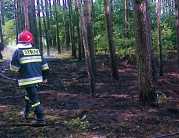 Podpalał, bo chciał zwrócić na siebie uwagę