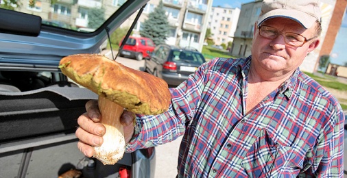 Ale grzyby!