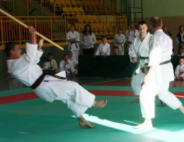 Na tatami o puchar