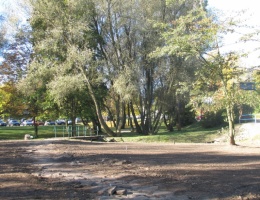 W Kościerzynie odświeżają park miejski