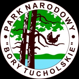 Leśne parkingi w Borach Tucholskich 