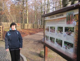 Kościerska ścieżka zdrowia