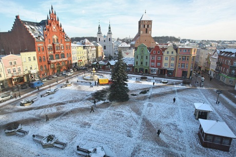 Już jest choinka! Zobacz zdjęcia