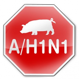 A/H1N1. Cztery potwierdzone przypadki
