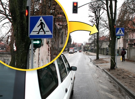 Uważaj! Sygnalizator czai się za drzewem