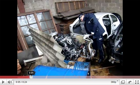 Dziupla zamknięta (WIDEO) 