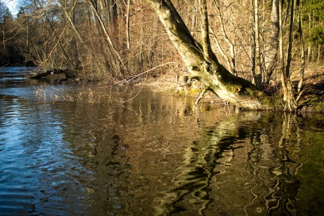 Popołudnie nad Brdą (ZDJĘCIA)