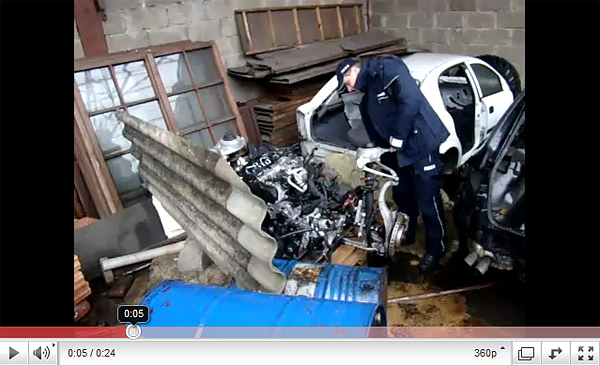 Dziupla zamknięta WIDEO