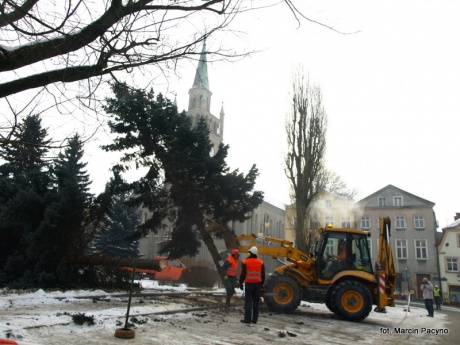 Wycinają drzewa w centrum miasta (FOTO)
