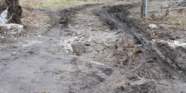 Tam parkują uczniowie (FOTO)