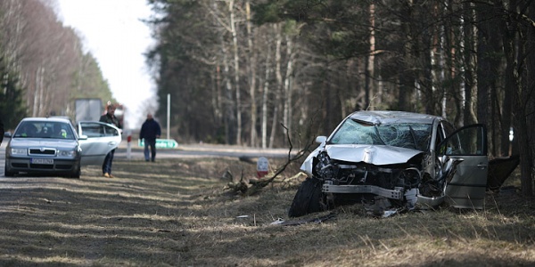 Roztrzaskał się na drzewie (FOTO)