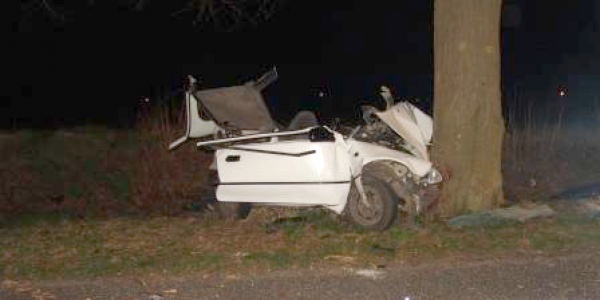 Auto uderzyło w drzewo. Nie żyje 21-latek (FOTO)