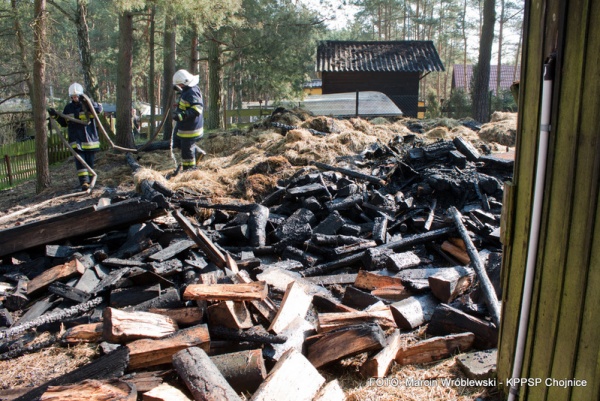Spaliło się drewno i sprzęt żeglarski (FOTO)
