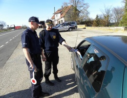 Akcja policjantów i strażników gminnych w Żalnie