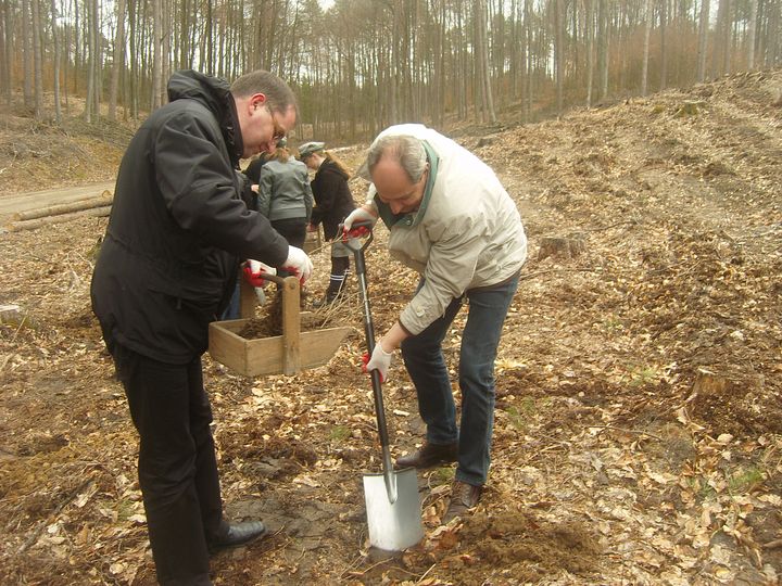 Tak Pomorzanie sadzili drzewa FOTO