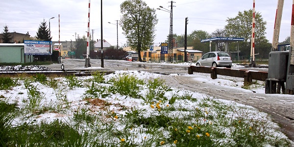 Matura w śniegu to rzadki widok (FOTOGALERIA)