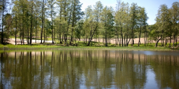 Wycięli 1100 drzew nad jeziorem! (FOTOGALERIA)