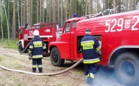 Trzy pożary las&oacute;w jednego dnia!