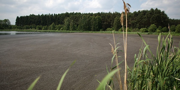 Skąd wziął się śmierdzący szlam?