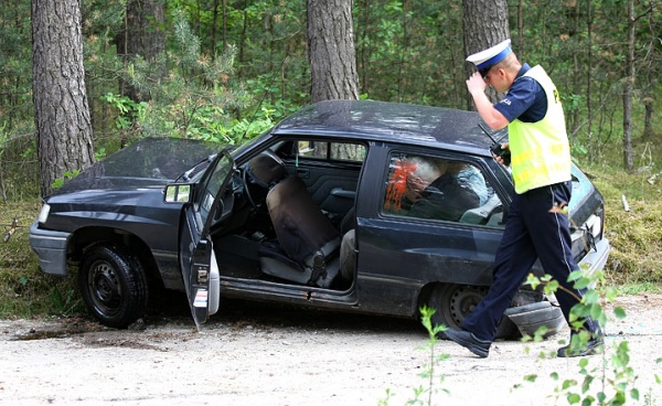 Pościg zakończył się na drzewie (FOTOGALERIA)
