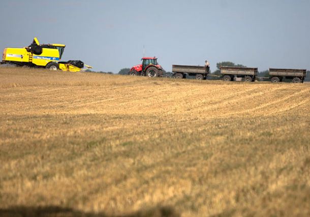 Spore straty rolników