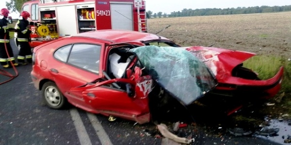Renault uderzyło w drzewo. Kierowca pijany (FOTO)