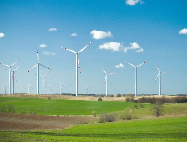 Już niedługo postawią 12 elektrowni wiatrowych!