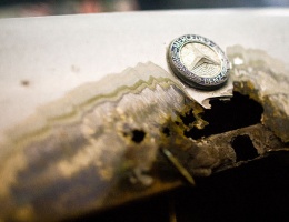 Zaczynamy szlifować kaczkę dziennikarską (FOTOGALERIA)