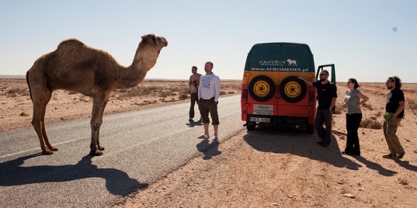 Wyjazd z Marrakeszu. Na Saharze Zachodniej (FOTO)