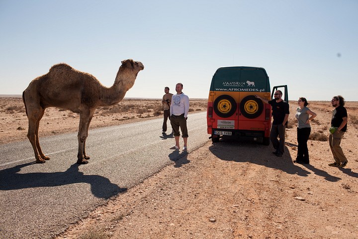 Wyjazd z Marrakeszu. Na Saharze Zachodniej FOTO