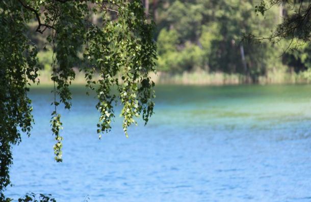 Kontrolują, inwentaryzują i przekazują wyżej. Na sesji powiatowej w Chojnicach mówiono o nielegalnych pomostach