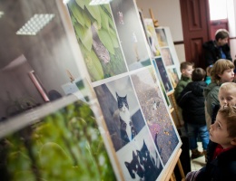 Idź i zobacz niesamowite zdjęcia kotów (FOTO) 