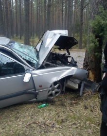 Volvo uderzyło w drzewo (FOTO)