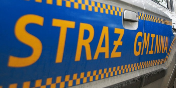 Obowiązkowe kontrole. Sprawdzą nawet Twojego psa!