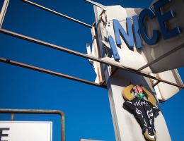 Czy witacz wita, czy straszy?  (FOTOGALERIA)